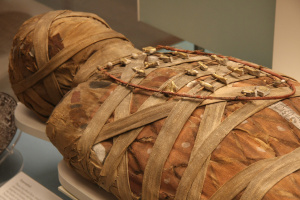 Ancient Mummy